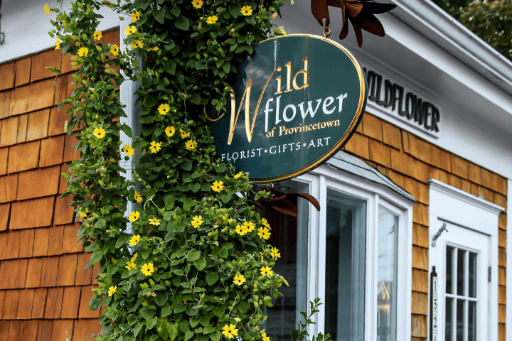 Thing To Do Shopping